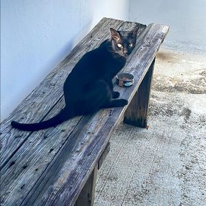 Meet your Posher, Pau